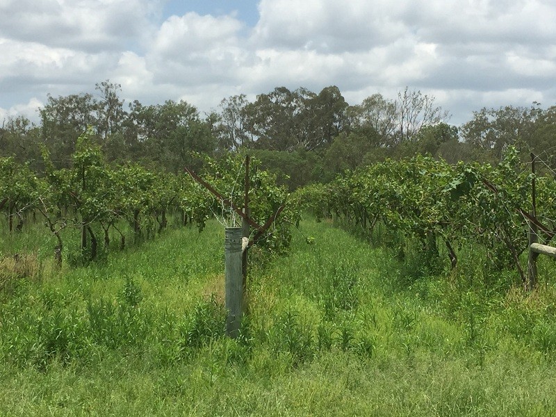 825 Esk-Hampton Road, Redbank Creek QLD 4312