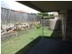 33 Dornoch Crescent, Raceview QLD 4305