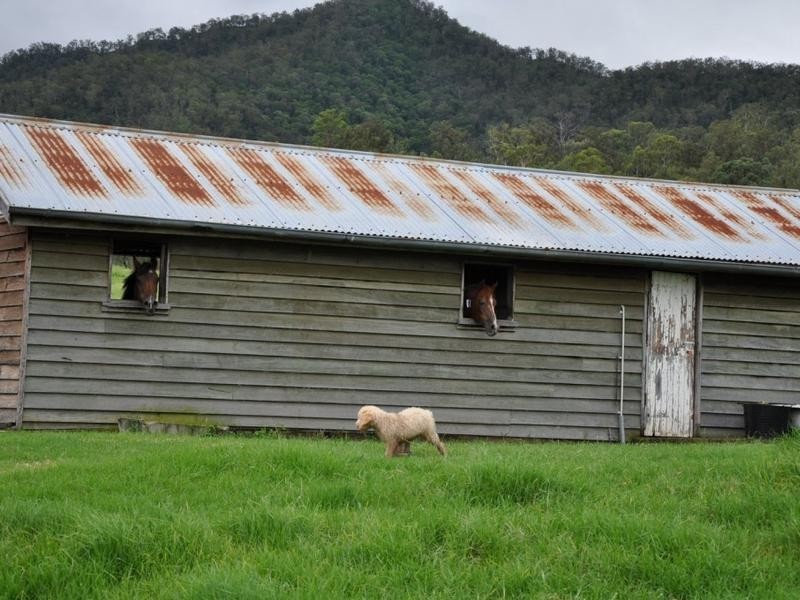 225 Mulgowie Road, Thornton QLD 4341