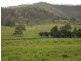 225 Mulgowie Road, Thornton QLD 4341