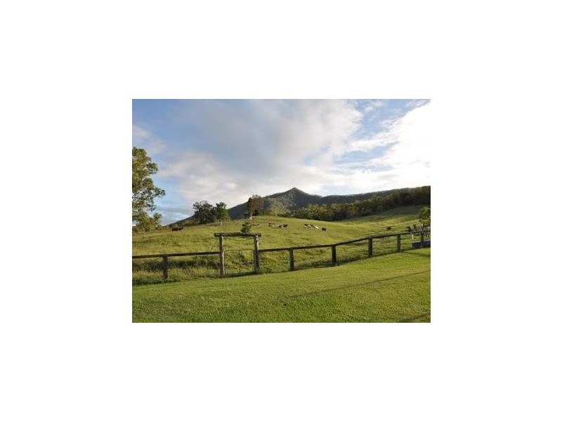 225 Mulgowie Road, Thornton QLD 4341