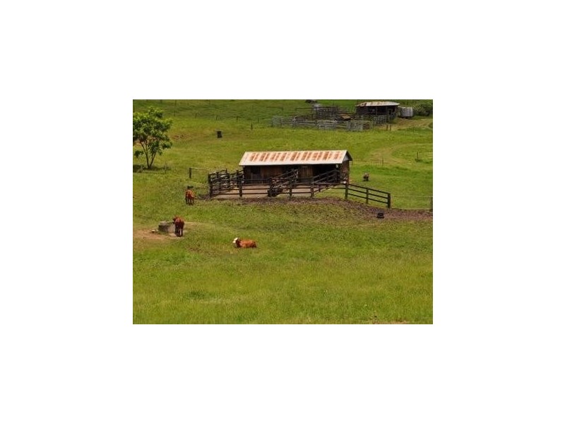 225 Mulgowie Road, Thornton QLD 4341