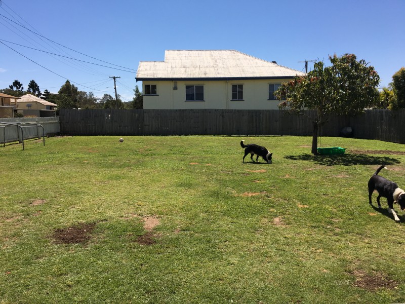 1 Bottomley Street, Brassall QLD 4305