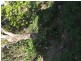 208 Wildey Street, Flinders View QLD 4305