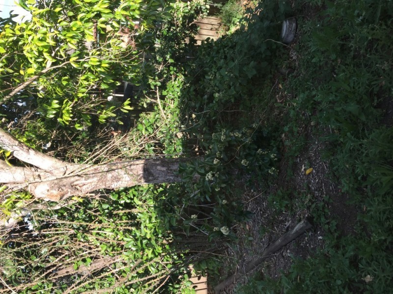 208 Wildey Street, Flinders View QLD 4305