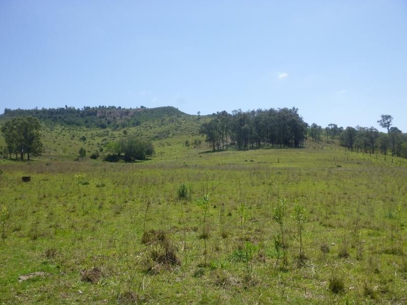 258 East Egypt Road, Mount Whitestone QLD 4347