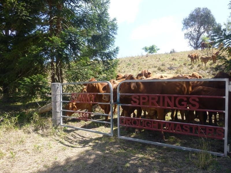 258 East Egypt Road, Mount Whitestone QLD 4347