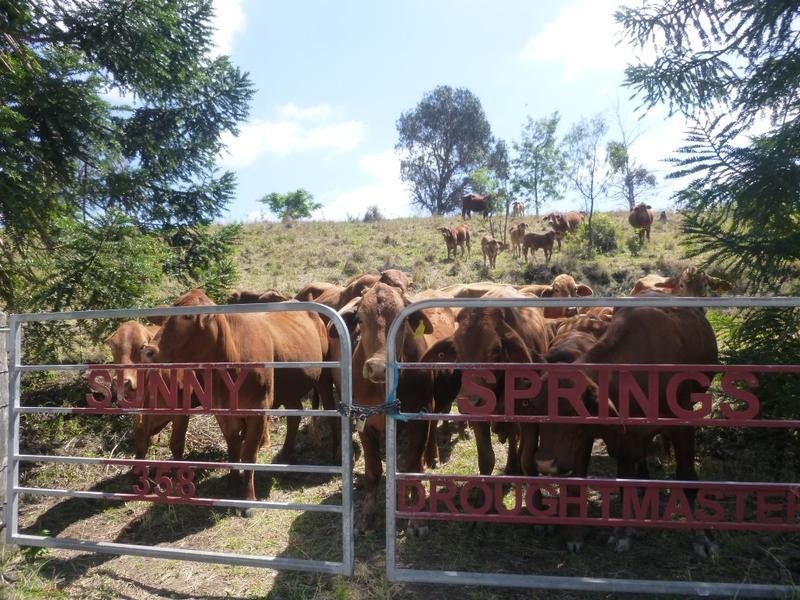 258 East Egypt Road, Mount Whitestone QLD 4347