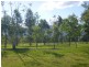 1096 Tarome Road, Tarome QLD 4309