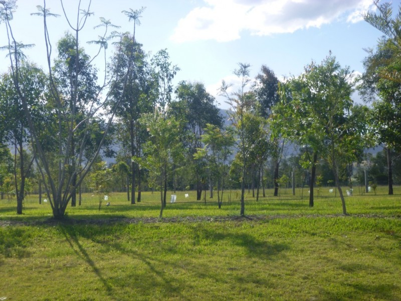 1096 Tarome Road, Tarome QLD 4309