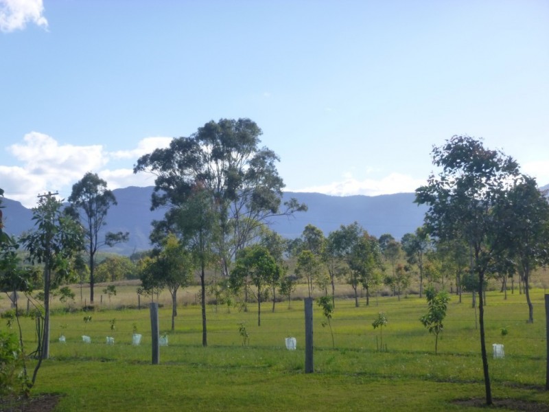 1096 Tarome Road, Tarome QLD 4309