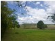 725 Munbilla Road, Munbilla QLD 4309