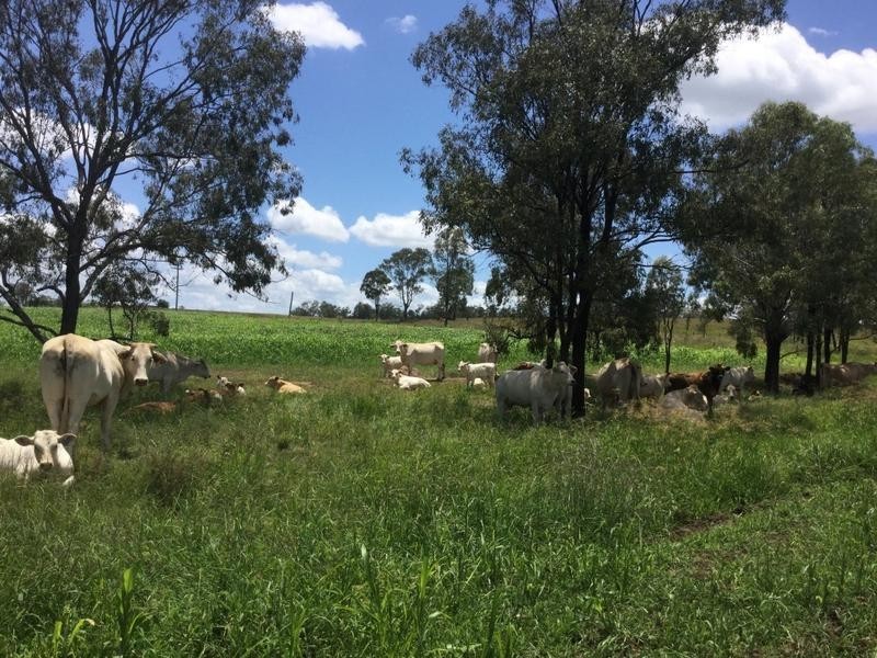 Lot 191 Cnr Kelly Road and Dwyer Road, Rosevale QLD 4340