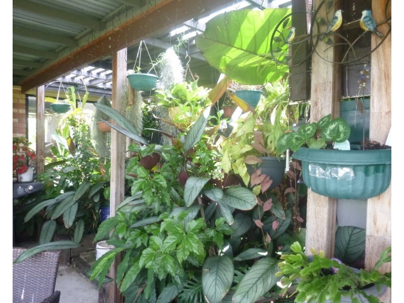 8 Hughes Court, Aratula QLD 4309