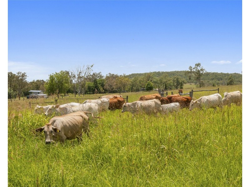 1080 Coleyville Road, Coleyville QLD 4307