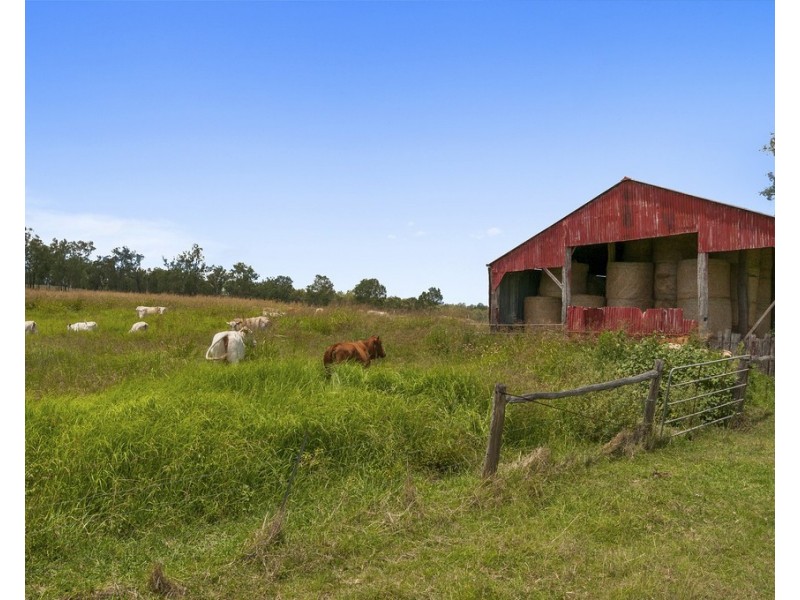 1080 Coleyville Road, Coleyville QLD 4307