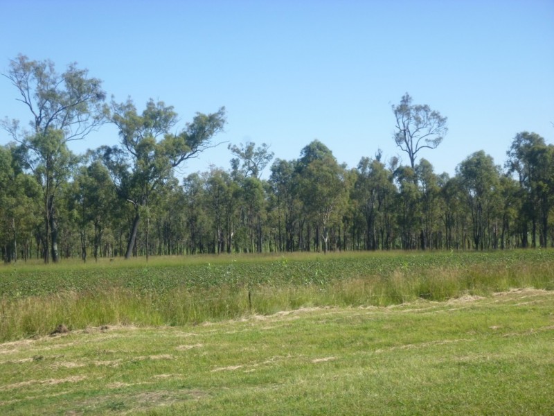 75 Gimpels Road, Mutdapilly QLD 4307