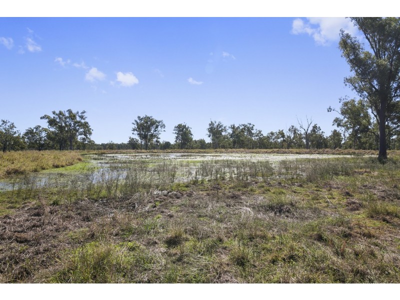 115 Stevens Road, Purga QLD 4306