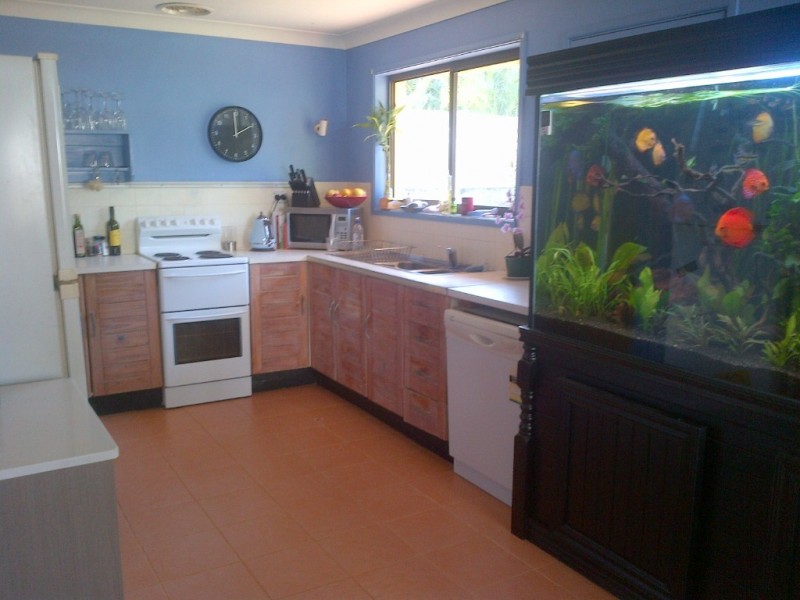 10 Wobur Street, Cleveland QLD 4163