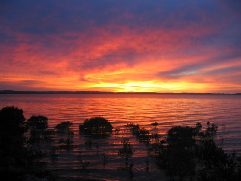 4/123 Shore Street North, Cleveland QLD 4163