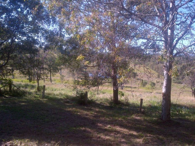 156 Woodlands Drive, Thornlands QLD 4164