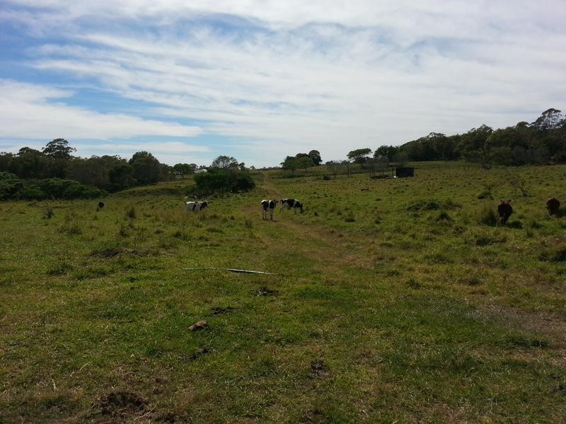 53 Kinross Rd, Thornlands QLD 4164