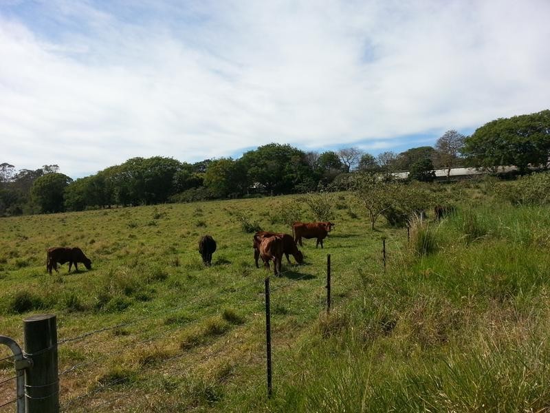 53 Kinross Rd, Thornlands QLD 4164