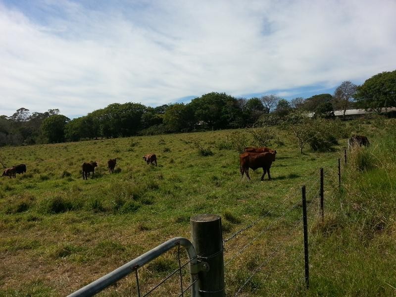 53 Kinross Rd, Thornlands QLD 4164