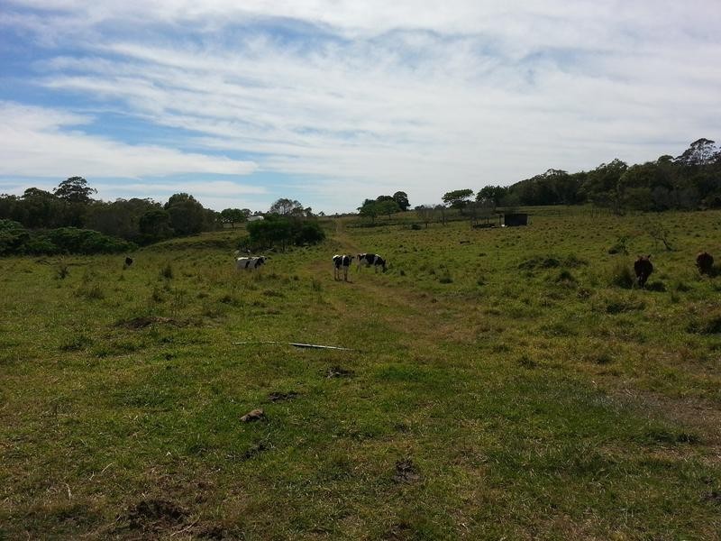 53 Kinross Road, Thornlands QLD 4164