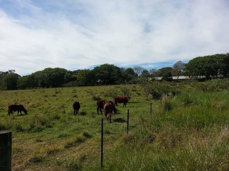 53 Kinross Road, Thornlands QLD 4164