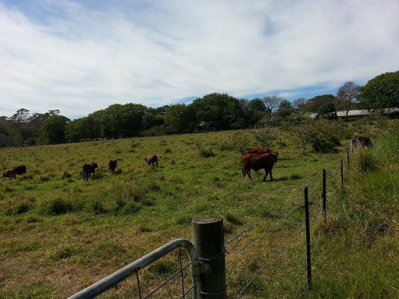 53 Kinross Road, Thornlands QLD 4164