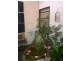 11/59-61 Smith Street, Cleveland QLD 4163