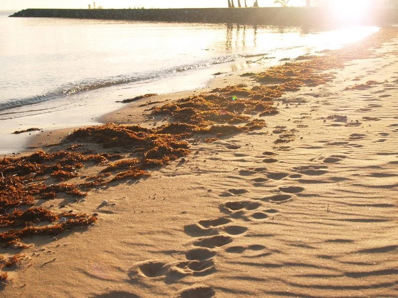 Raby Bay QLD 4163