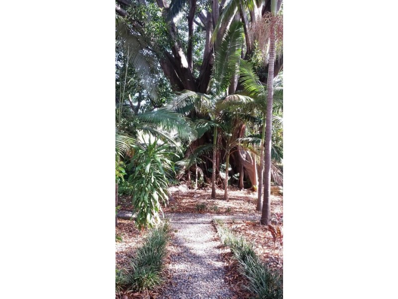 5/161 Main Street, Kangaroo Point QLD 4169