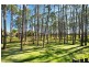 64 Makaha Drive, Birkdale QLD 4159
