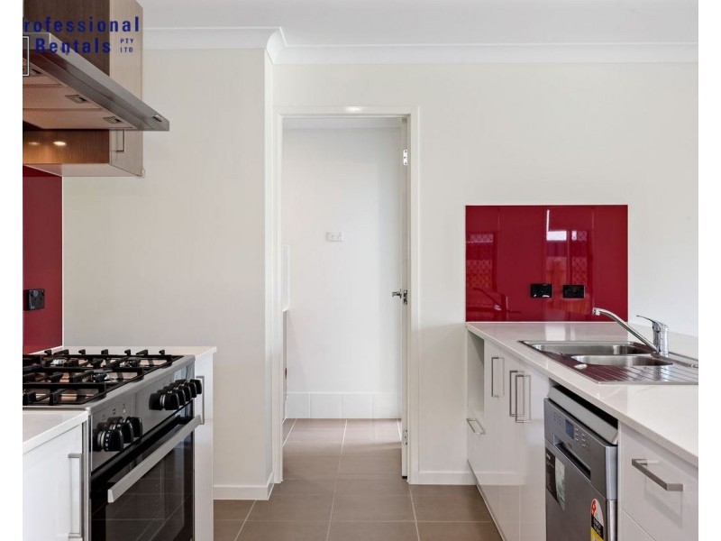 61 Cavell Street, Birkdale QLD 4159