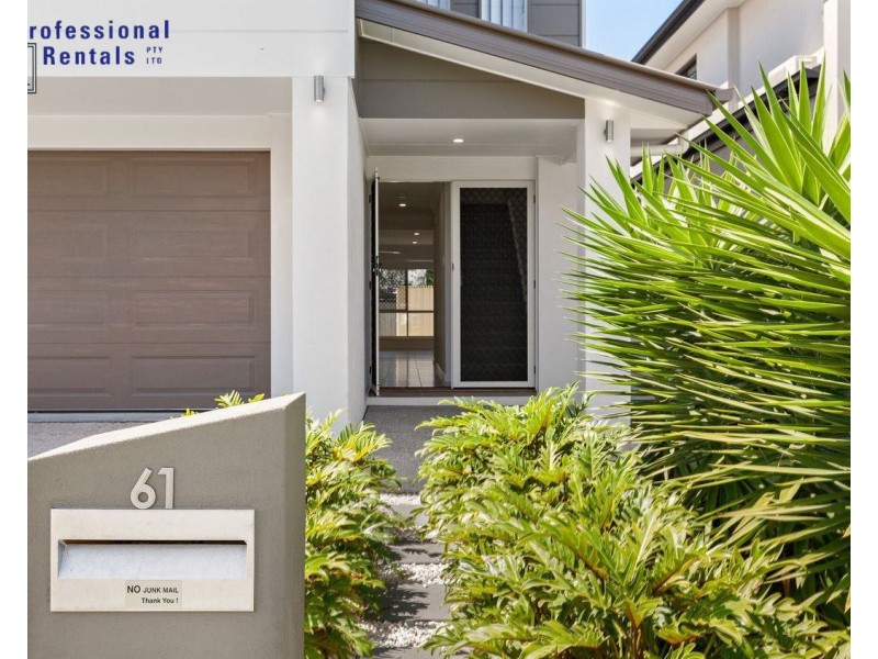 61 Cavell Street, Birkdale QLD 4159