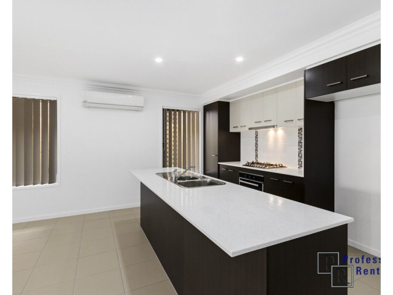 16 Preston Street, Ormeau Hills QLD 4208