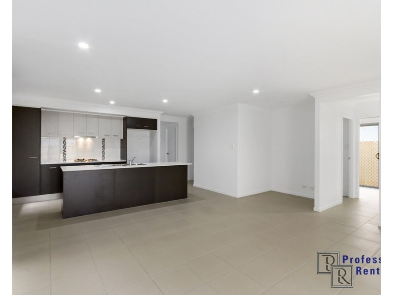 16 Preston Street, Ormeau Hills QLD 4208
