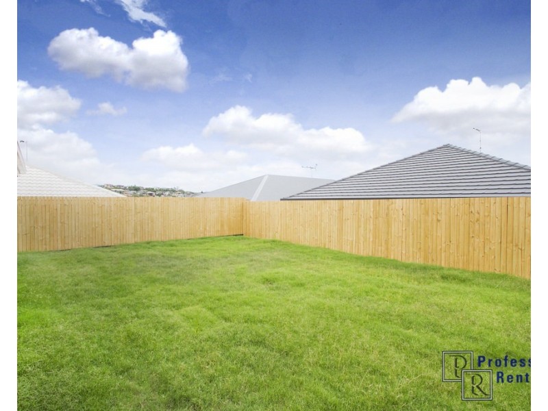 16 Preston Street, Ormeau Hills QLD 4208