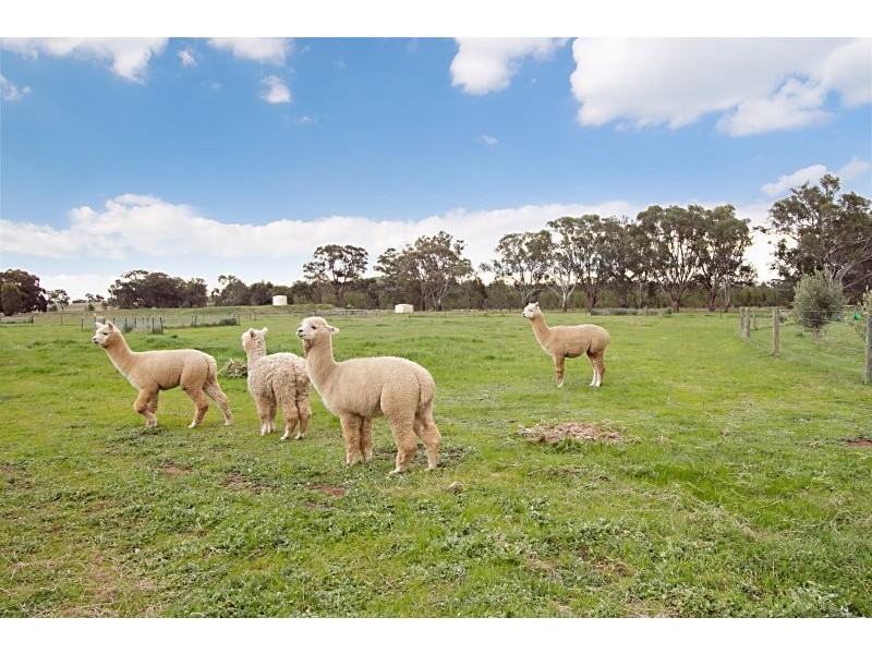 261 Powers Road, Bendigo VIC 3550