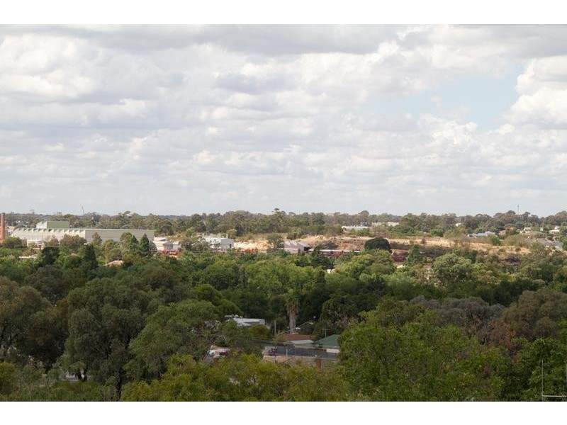 2/3 Ryan Street, North Bendigo VIC 3550