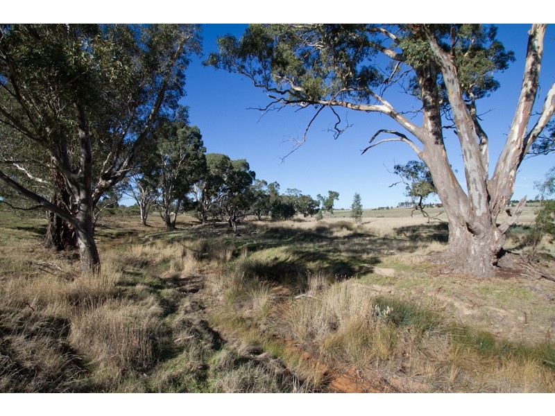 Lot 41 Hamilton Way, Lockwood South VIC 3551