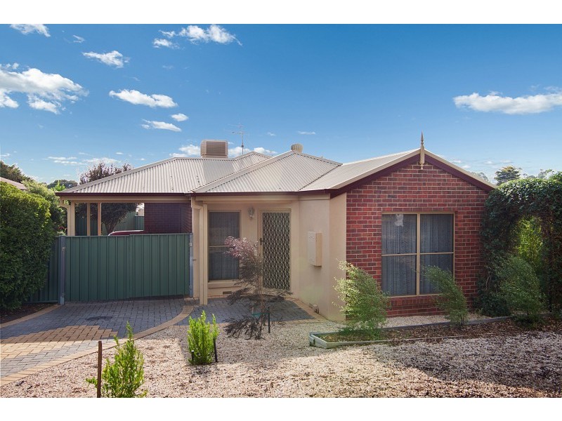 53 Dundas Street, White Hills VIC 3550