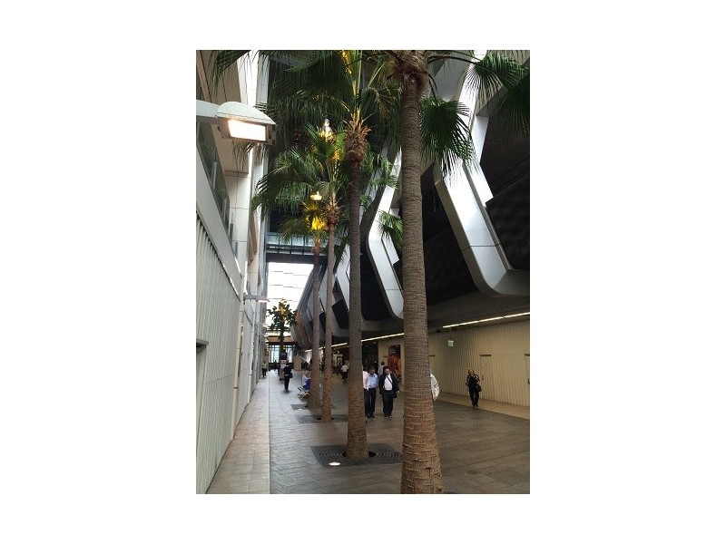 G1602/436 Victoria Avenue, Chatswood NSW 2067