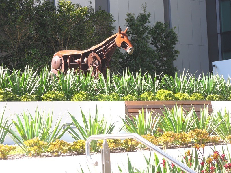 1105/7 Railway Street, Chatswood NSW 2067