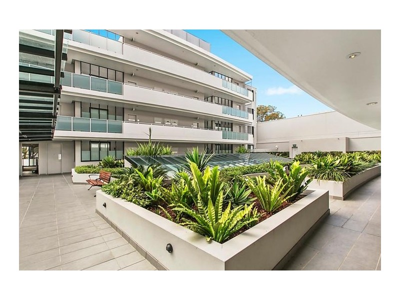 303/36 Bertram Street, Chatswood NSW 2067