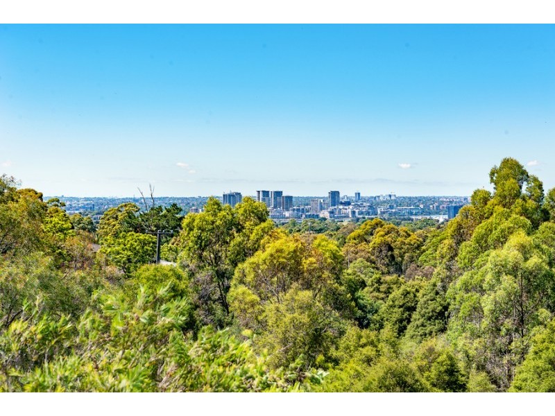 9 Brush Road, Eastwood NSW 2122