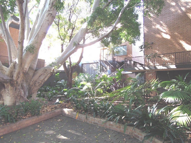 64/500 Elizabeth Street, Surry Hills NSW 2010