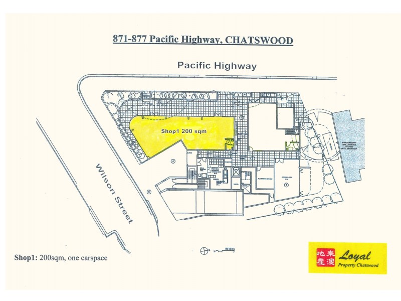Suite 1/871-877 Pacific Highway, Chatswood NSW 2067 Floorplan